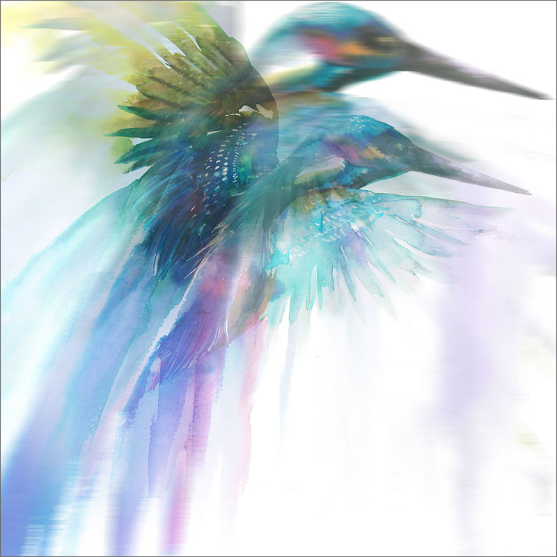 kinfisher-from-exhibition-i-dream-in-dozens-by-rachel-rowberry